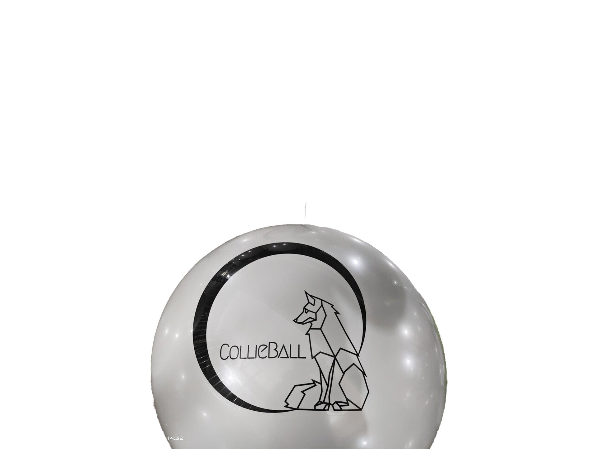 Grey CollieBall inner ball inflated, shown against a white background