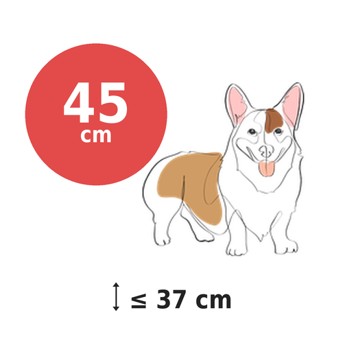 CollieBall 45 cm — for dogs up to 37 cm at the shoulder, size infographic