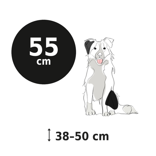 CollieBall 55 cm — for dogs 38–50 cm at the shoulder, size infographic