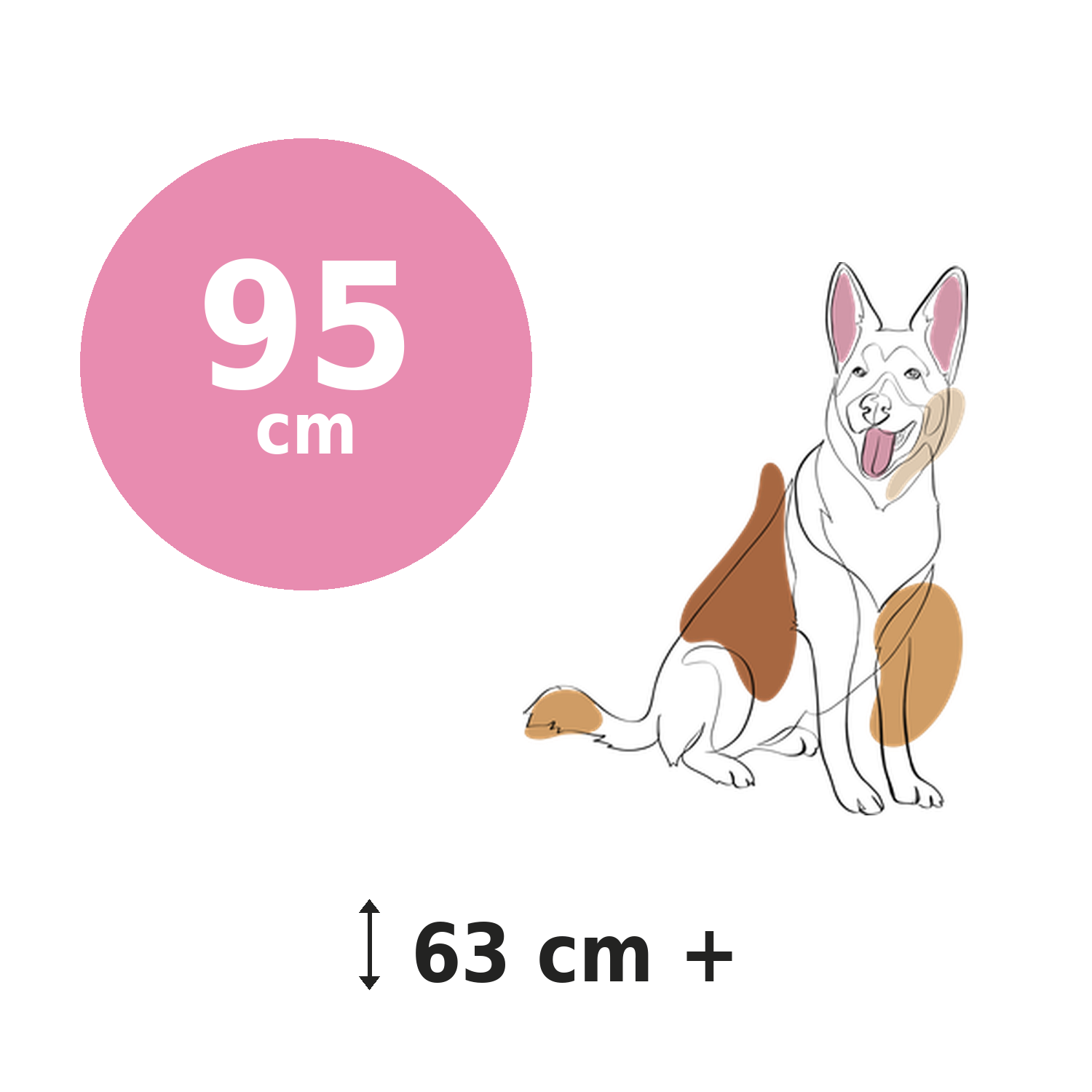 CollieBall 95 cm — for dogs 63 cm and up at the shoulder, size infographic